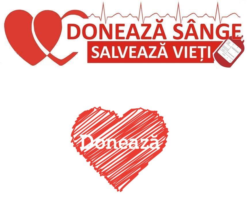 sadsd